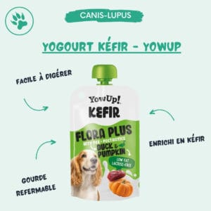 Yogourt Kéfir - YowUp