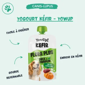 Yogourt Kéfir - YowUp