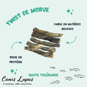 Twist en Peaux de Morue
