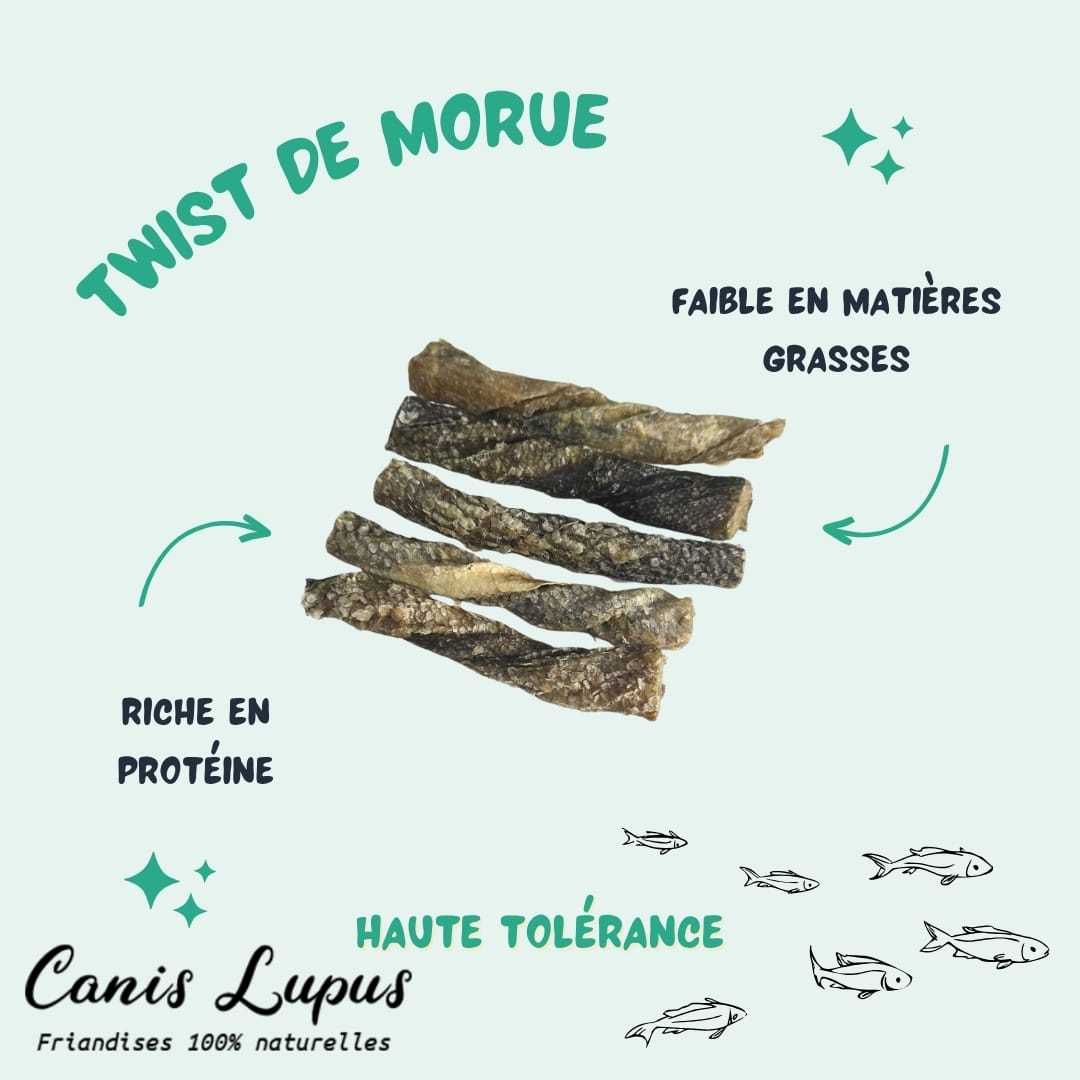 Twist en Peaux de Morue