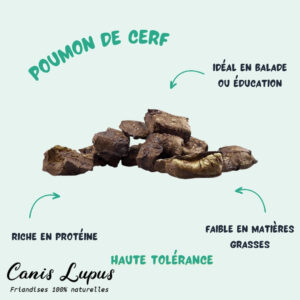 Poumon de Cerf